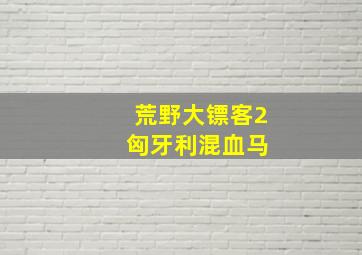 荒野大镖客2 匈牙利混血马